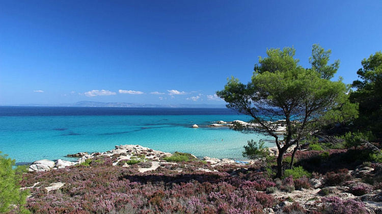 Картинка - 4