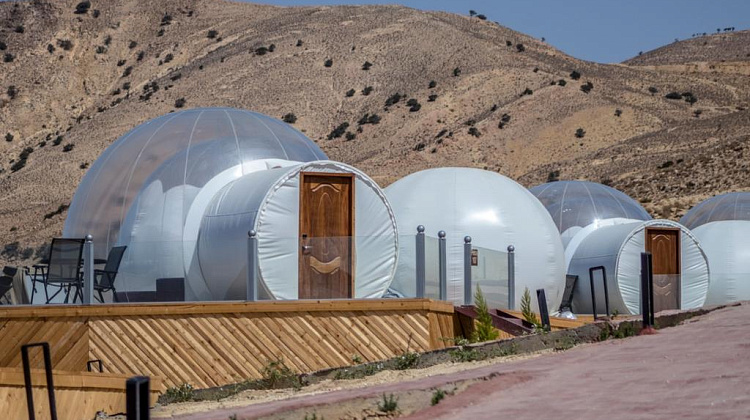 Картинка - 11