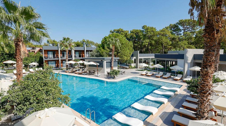 Картинка - 4