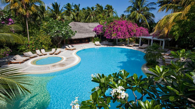 Картинка - 8