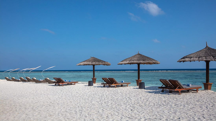 Картинка - 6