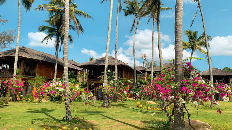 Картинка - 6