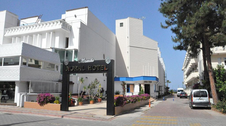 Картинка - 3