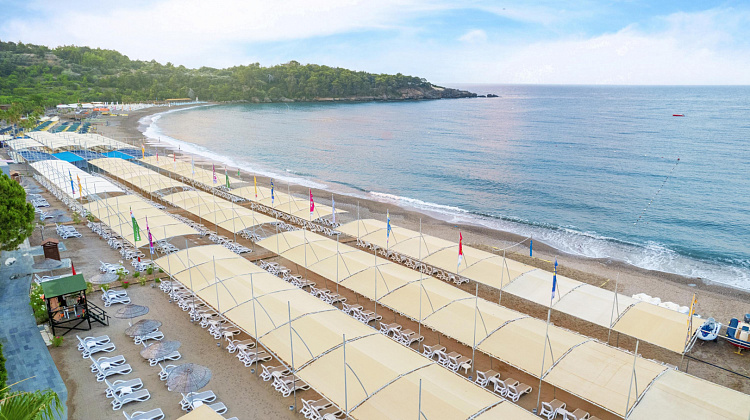 Картинка - 8