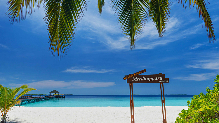 Картинка - 3