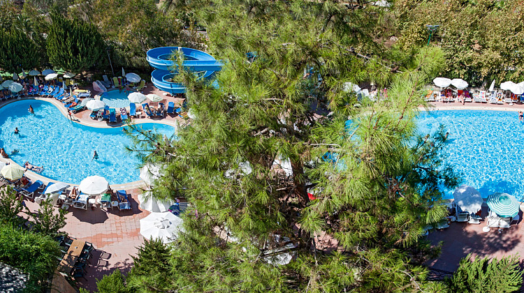 Картинка - 3