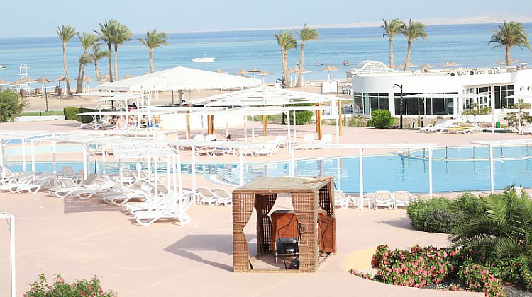 Картинка - 8