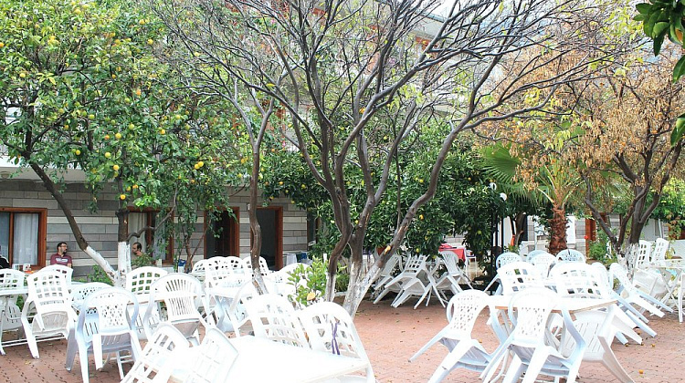 Картинка - 6