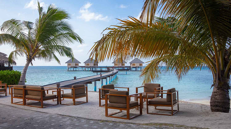 Картинка - 5