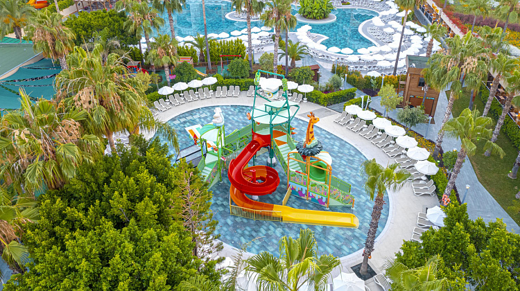 Картинка - 5