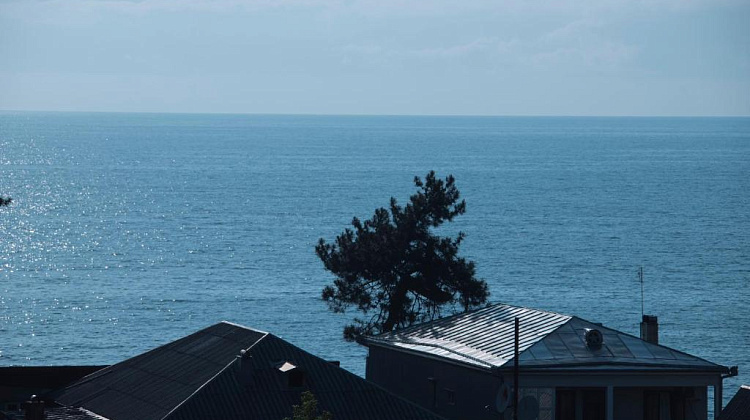 Картинка - 6