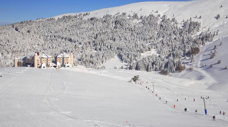 Картинка - 1