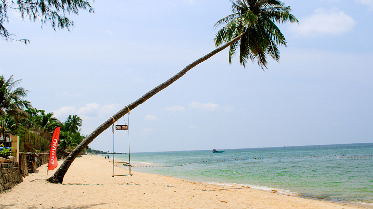 Картинка - 3