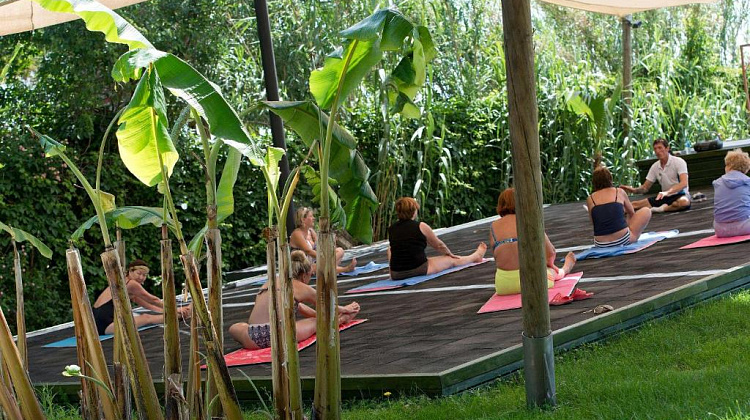 Картинка - 11