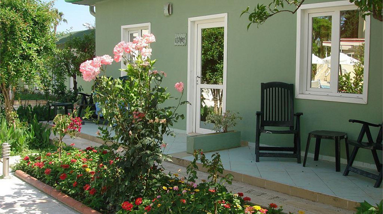 Картинка - 3