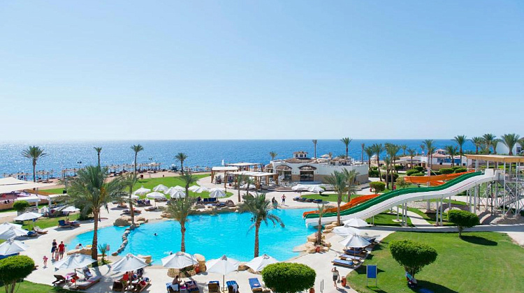 Картинка - 3