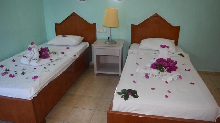 Картинка - 6