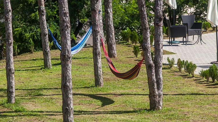 Картинка - 16