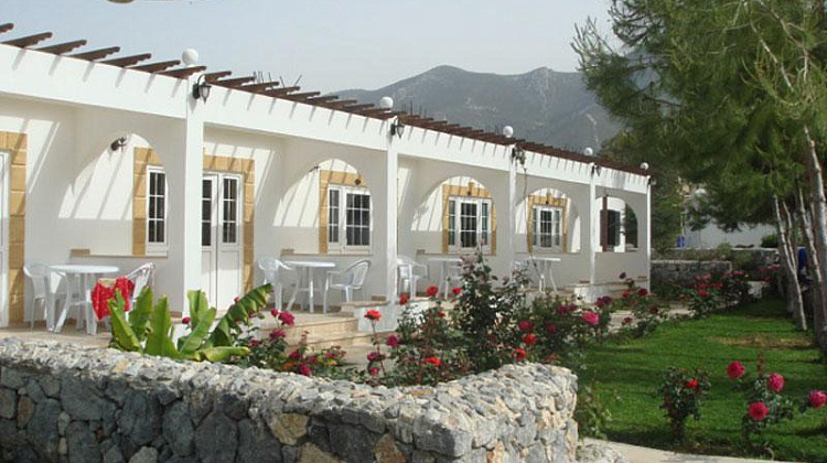 Картинка - 11