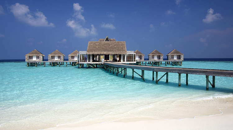 Картинка - 7