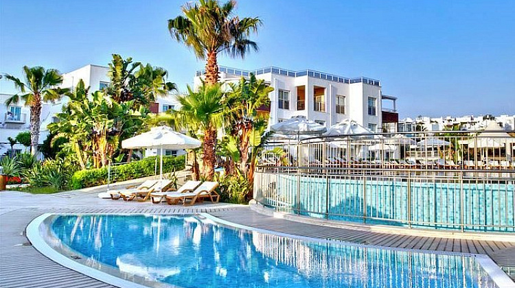 Картинка - 3