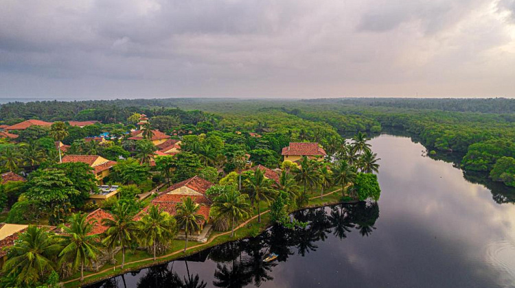 Картинка - 5