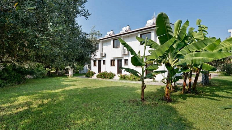 Картинка - 2