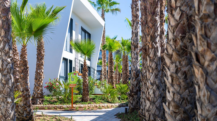 Картинка - 2