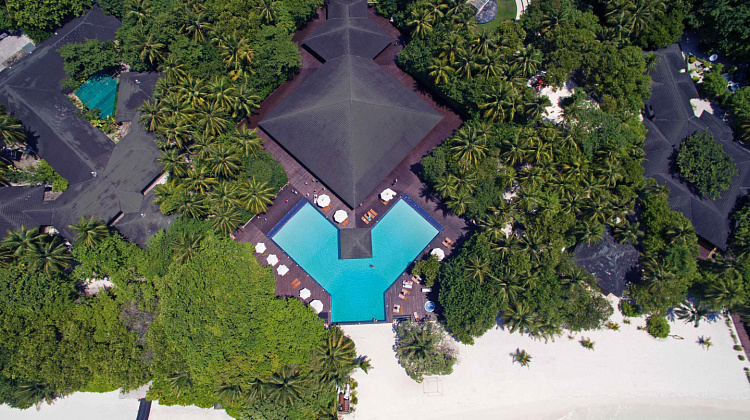 Картинка - 12