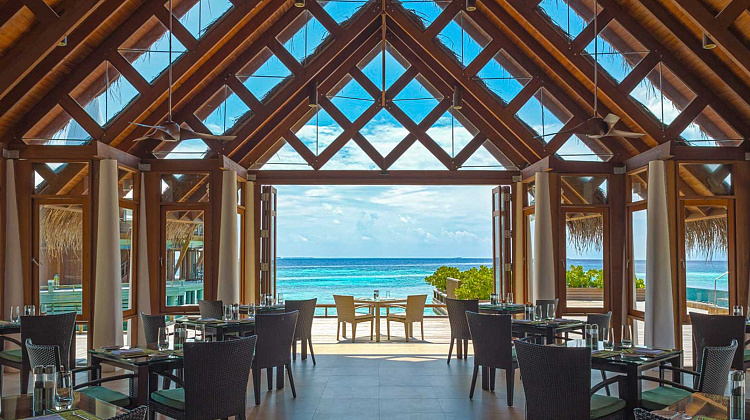 Картинка - 5