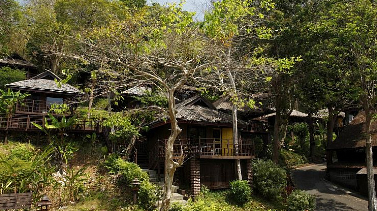 Картинка - 1