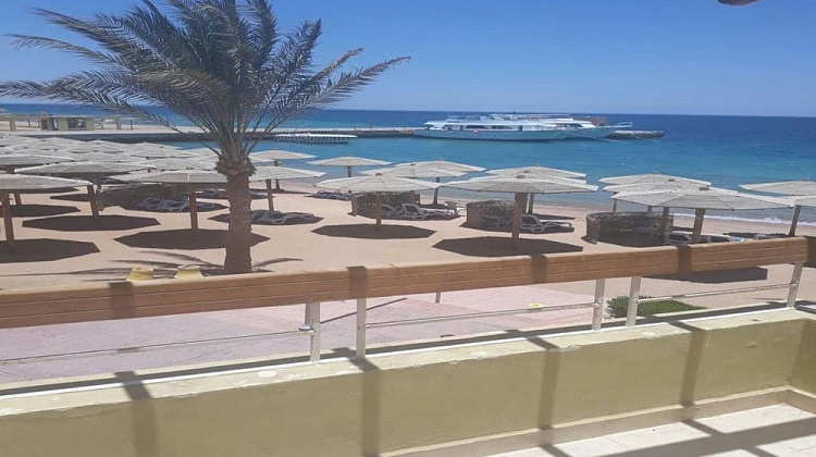 Картинка - 11