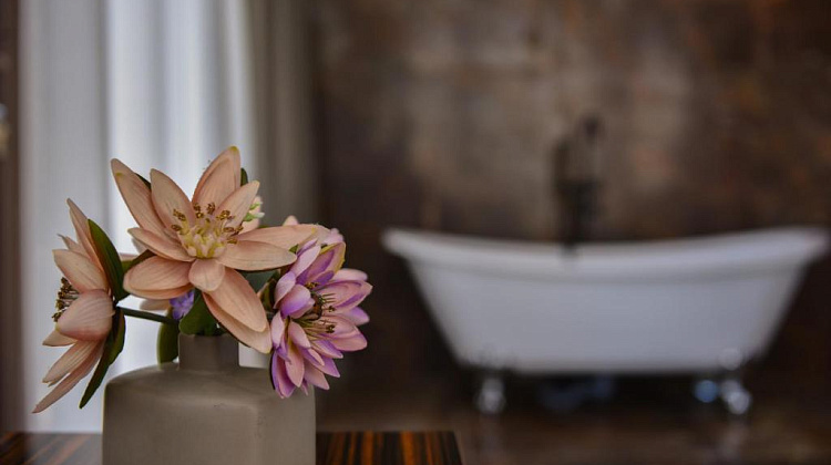 Картинка - 20