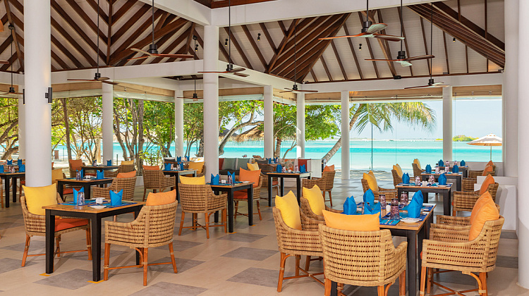 Картинка - 6