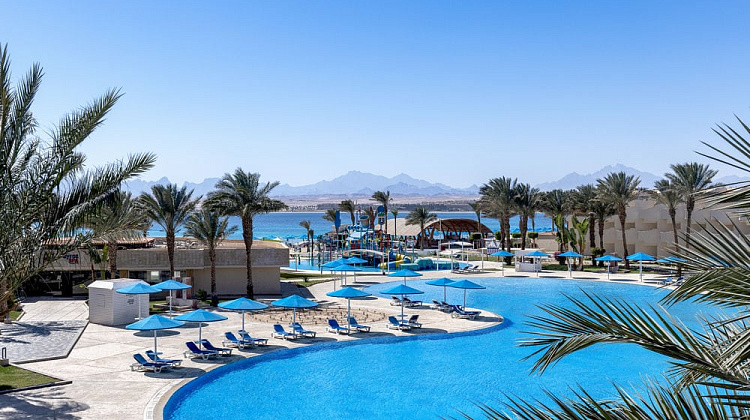 Картинка - 20