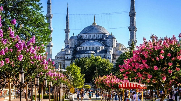 Картинка - 1