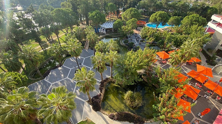 Картинка - 4