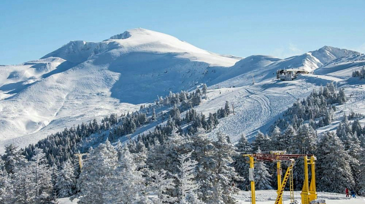 Картинка - 3