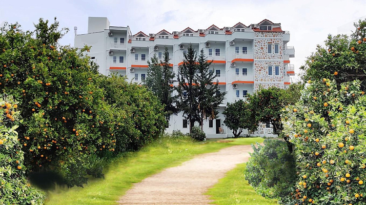 Картинка - 2