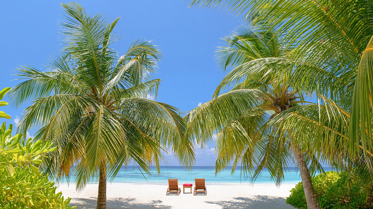 Картинка - 7