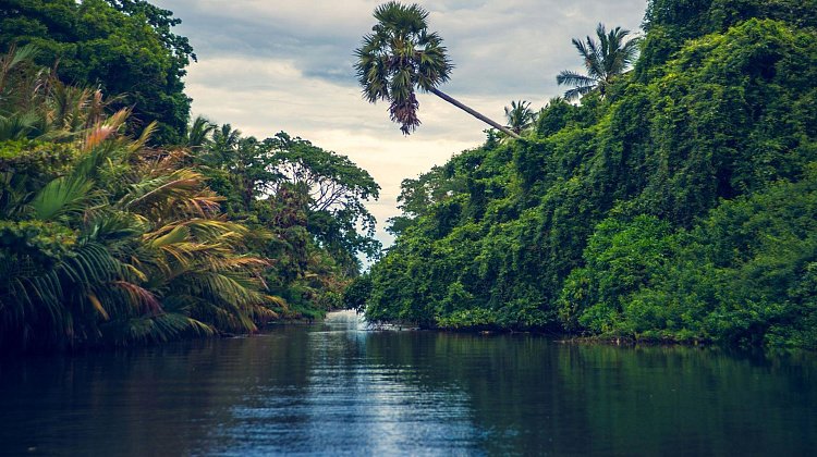 Картинка - 5