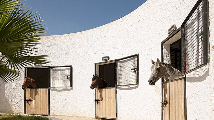 Картинка - 5