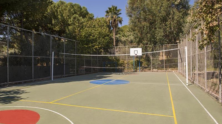 Картинка - 8