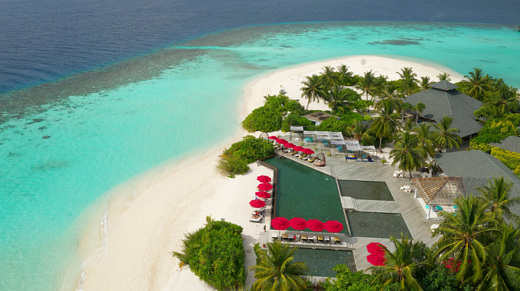 Картинка - 2