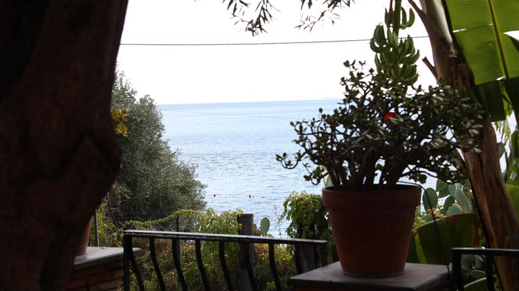 Картинка - 12