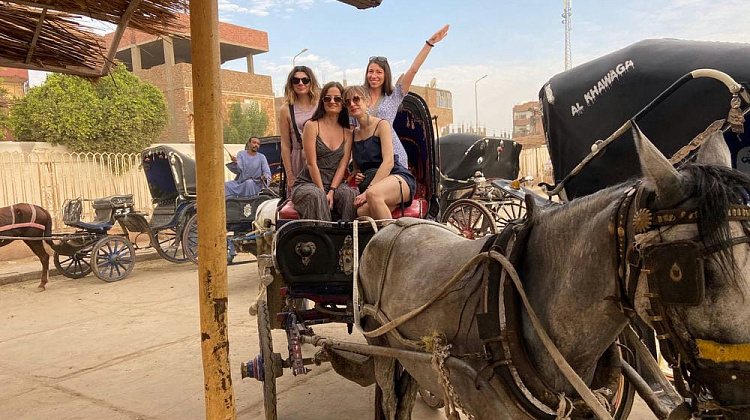 Картинка - 16