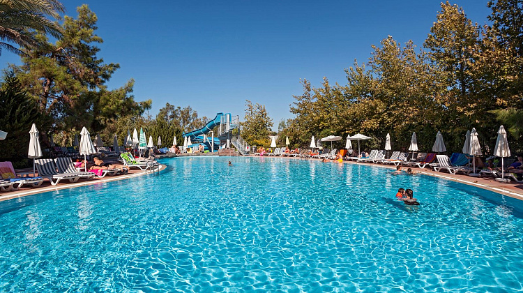 Картинка - 4