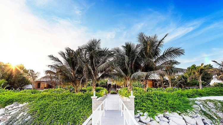 Картинка - 1