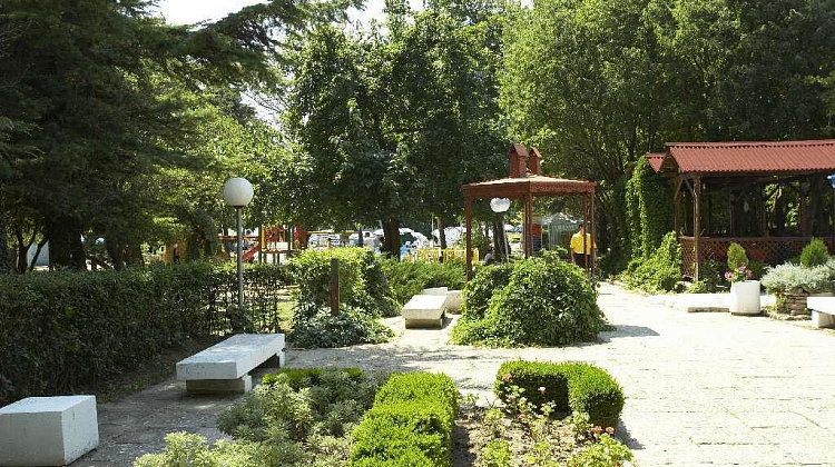 Картинка - 9