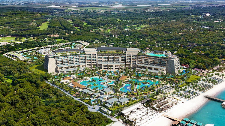 Картинка - 1